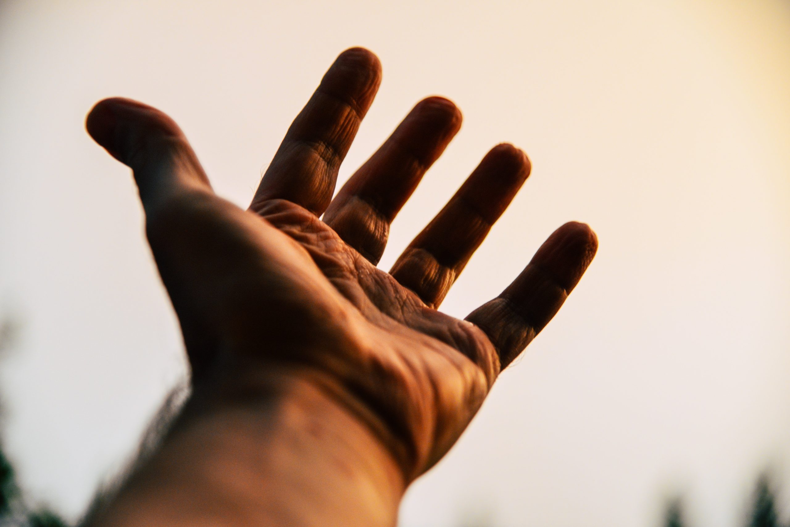 hand#1